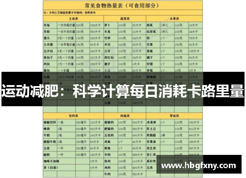 运动减肥：科学计算每日消耗卡路里量