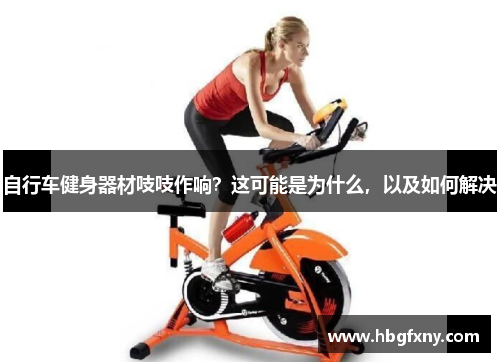自行车健身器材吱吱作响？这可能是为什么，以及如何解决