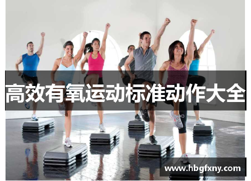 高效有氧运动标准动作大全
