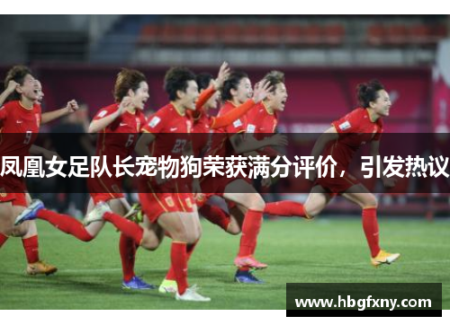 凤凰女足队长宠物狗荣获满分评价，引发热议